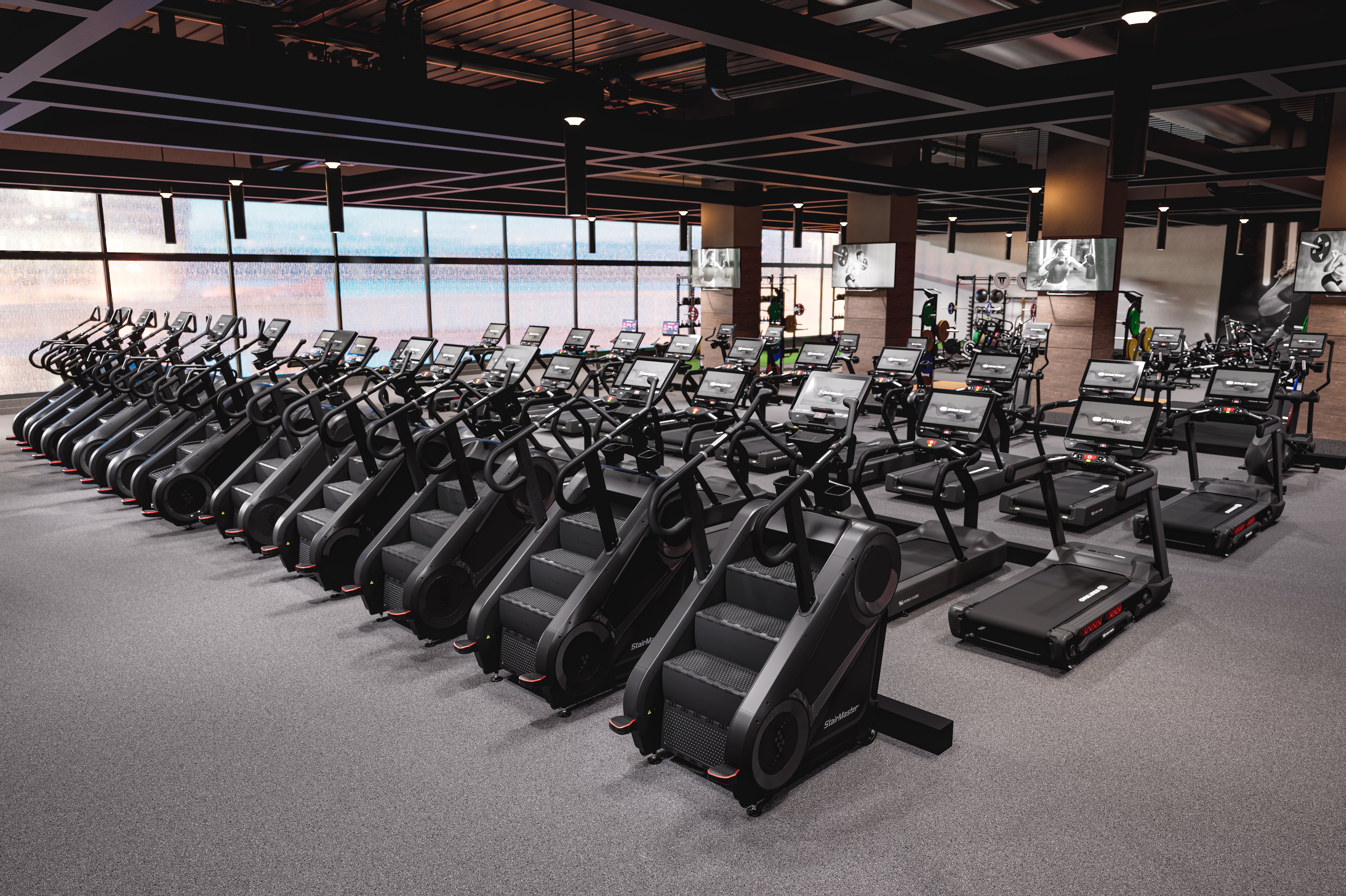 StairMaster Star Trac Lifestyle Fitness Club